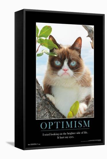 Grumpy Cat - The Brighter Side-Trends International-Framed Stretched Canvas