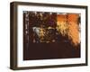 Grunge Background-one AND only-Framed Photographic Print