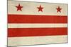Grunge City Flag Of Washington D.C, U.S.A-Speedfighter-Mounted Art Print