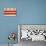 Grunge City Flag Of Washington D.C, U.S.A-Speedfighter-Art Print displayed on a wall