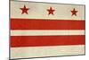 Grunge City Flag Of Washington D.C, U.S.A-Speedfighter-Mounted Art Print