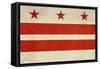 Grunge City Flag Of Washington D.C, U.S.A-Speedfighter-Framed Stretched Canvas