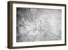 Grunge Concrete Cement Wall-aslysun-Framed Art Print