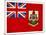 Grunge Flag Of Bermuda-cmfotoworks-Mounted Art Print
