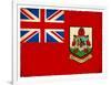 Grunge Flag Of Bermuda-cmfotoworks-Framed Art Print