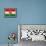 Grunge Flag Of Hungary-cmfotoworks-Framed Stretched Canvas displayed on a wall