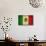 Grunge Flag Of Mexico-Graphic Design Resources-Mounted Art Print displayed on a wall