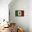 Grunge Flag of Mexico-Graphic Design Resources-Framed Stretched Canvas displayed on a wall