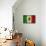 Grunge Flag of Mexico-Graphic Design Resources-Stretched Canvas displayed on a wall