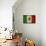 Grunge Flag of Mexico-Graphic Design Resources-Mounted Art Print displayed on a wall