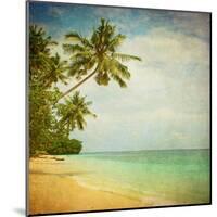 Grunge Image Of Tropical Beach-javarman-Mounted Art Print