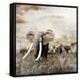 Grunge Image of Walking Elephants-Svetlana Foote-Framed Stretched Canvas