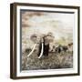 Grunge Image of Walking Elephants-Svetlana Foote-Framed Premium Photographic Print