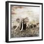 Grunge Image of Walking Elephants-Svetlana Foote-Framed Premium Photographic Print