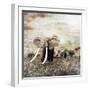 Grunge Image of Walking Elephants-Svetlana Foote-Framed Premium Photographic Print