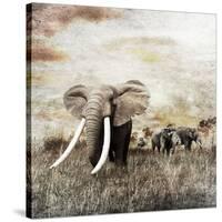 Grunge Image of Walking Elephants-Svetlana Foote-Stretched Canvas