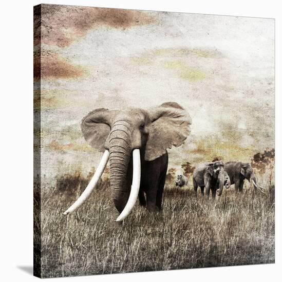 Grunge Image of Walking Elephants-Svetlana Foote-Stretched Canvas