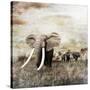 Grunge Image of Walking Elephants-Svetlana Foote-Stretched Canvas