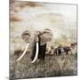 Grunge Image of Walking Elephants-Svetlana Foote-Mounted Photographic Print