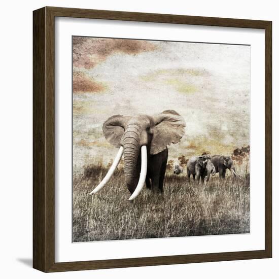 Grunge Image of Walking Elephants-Svetlana Foote-Framed Photographic Print