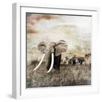 Grunge Image of Walking Elephants-Svetlana Foote-Framed Photographic Print