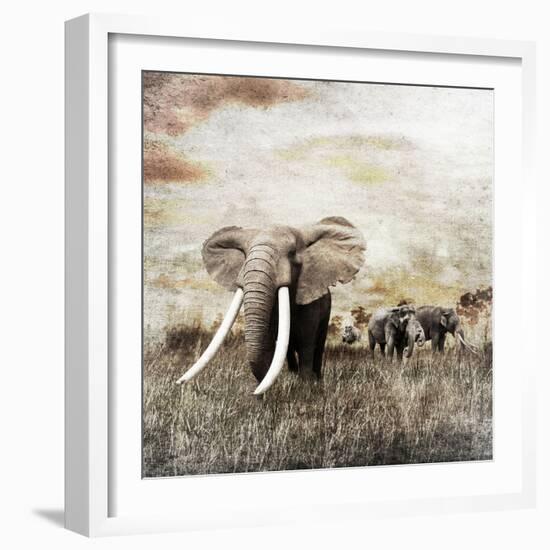 Grunge Image of Walking Elephants-Svetlana Foote-Framed Photographic Print