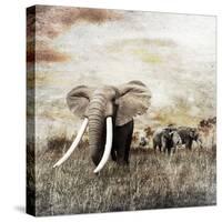 Grunge Image of Walking Elephants-Svetlana Foote-Stretched Canvas