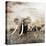 Grunge Image of Walking Elephants-Svetlana Foote-Stretched Canvas