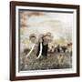 Grunge Image of Walking Elephants-Svetlana Foote-Framed Photographic Print