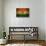 Grunge India Flag-darrenwhi-Stretched Canvas displayed on a wall