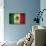 Grunge Mexican Flag-Graphic Design Resources-Stretched Canvas displayed on a wall