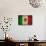 Grunge Mexican Flag-Graphic Design Resources-Stretched Canvas displayed on a wall