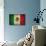 Grunge Mexican Flag-Graphic Design Resources-Art Print displayed on a wall