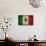 Grunge Mexican Flag-Graphic Design Resources-Mounted Art Print displayed on a wall