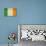 Grunge Officall Flag Of The Irish Tricolor, Republic Of Ireland-Speedfighter-Stretched Canvas displayed on a wall