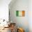 Grunge Officall Flag Of The Irish Tricolor, Republic Of Ireland-Speedfighter-Stretched Canvas displayed on a wall