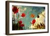 Grunge Poppy Field-idizimage-Framed Art Print