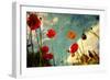 Grunge Poppy Field-idizimage-Framed Art Print