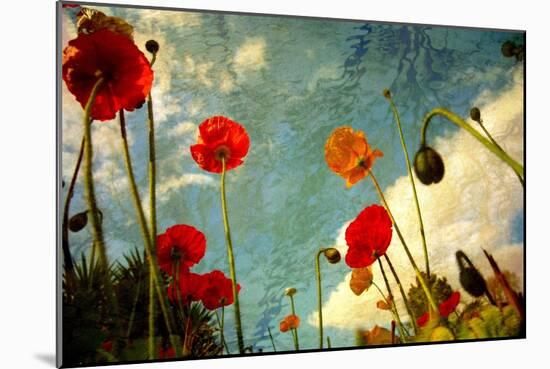 Grunge Poppy Field-idizimage-Mounted Art Print