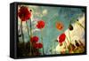 Grunge Poppy Field-idizimage-Framed Stretched Canvas