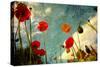 Grunge Poppy Field-idizimage-Stretched Canvas