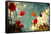 Grunge Poppy Field-idizimage-Framed Stretched Canvas