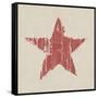 Grunge Red Star-pashabo-Framed Stretched Canvas