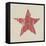 Grunge Red Star-pashabo-Framed Stretched Canvas