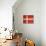 Grunge Sovereign State Flag Of Country Of Denmark In Official Colors-Speedfighter-Stretched Canvas displayed on a wall