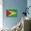 Grunge Sovereign State Flag Of Country Of Guyana In Official Colors-Speedfighter-Art Print displayed on a wall