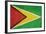 Grunge Sovereign State Flag Of Country Of Guyana In Official Colors-Speedfighter-Framed Art Print