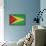 Grunge Sovereign State Flag Of Country Of Guyana In Official Colors-Speedfighter-Mounted Art Print displayed on a wall