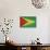 Grunge Sovereign State Flag Of Country Of Guyana In Official Colors-Speedfighter-Mounted Art Print displayed on a wall