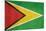 Grunge Sovereign State Flag Of Country Of Guyana In Official Colors-Speedfighter-Mounted Art Print